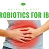 Probiotics for IBS: 7 Best Probiotic Supplements for IBS